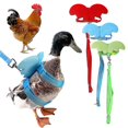 thumbnail image 2 of Chicken Duck And Goose With Wings Chest Strap Adjustable For Outdoor Walking - Snngv, 2 of 3