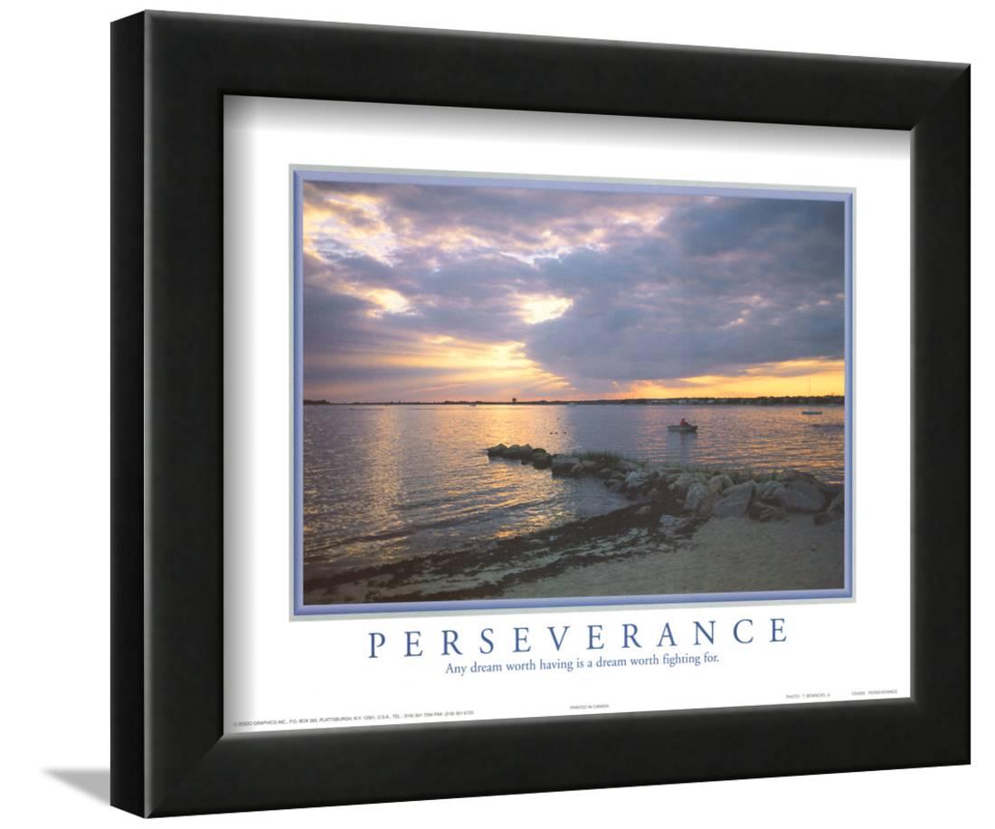 Perseverance Any Dream Worth Having Motivational Framed Art Print Wall