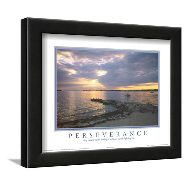 Perseverance Any Dream Worth Having Motivational Framed Art Print Wall
