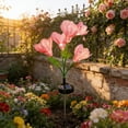 thumbnail image 3 of Solar Powered Daffodil Landscape Light Led Garden Light Decoration Landscape Lamp Beautiful Design White Light for Outdoor Home Use for Outdoor Pathway Courtyard and Villa Decor, 3 of 7