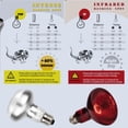 thumbnail image 2 of czcpp-Reptile Lampe Chauffante, 2 Ampoules 75W Intenses et Infrarouges pour Reptiles, Lumière de Nuit UVA Rouge pour Dragon Barbu, Lézard, Gecko, Reptile, 2 of 4