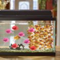 thumbnail image 3 of NUOLUX 10Pcs Artificial Floating Colorful Fish Aquarium Decoration Bright Color Plastic For Fish Tank, 3 of 8