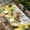 Yellow Grey, variant on Sunflowers Table Cloths for 8 Foot Rectangle Tables, Spring Botanical Watercolor Blossom Flowers Patio Waterproof Elastic Fitted Tablecloths, Washable Rectangular Table Cover for Camping