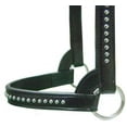 thumbnail image 5 of Derby New and Improved Premium Show Spotted Flat Leather Cattle Show Halter with Matching Chain Lead, 5 of 5