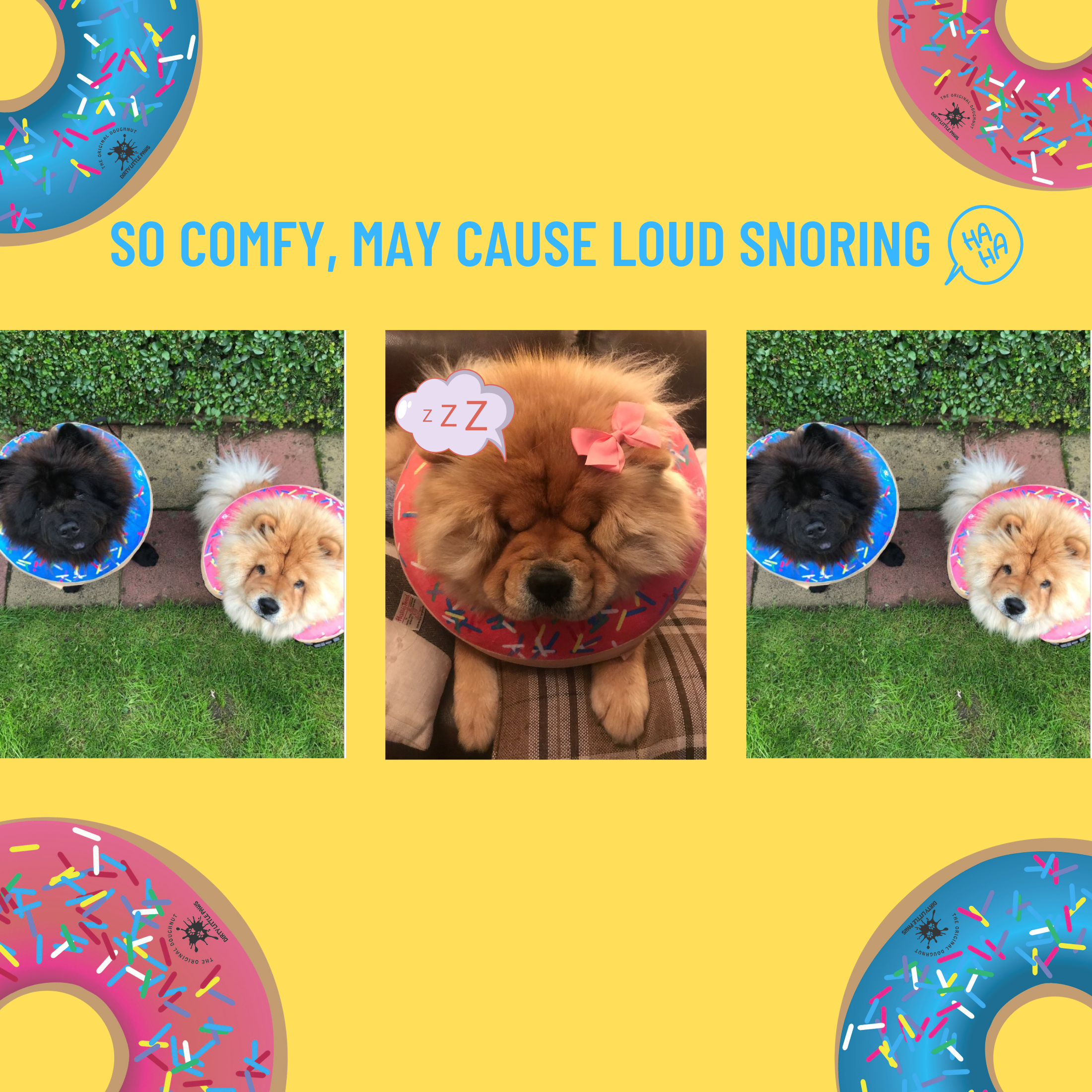 DIRTY LITTLE PAWS Inflatable Dog Donut Collar Post Surgery Recovery Medium Blue Walmart