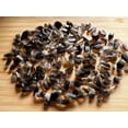thumbnail image 3 of WHOLESALE Smoky Quartz Point 0.75-1.5", Natural Small Smoky Quartz Point, Smoky Quartz Point Healing Crystal (Smoky Quartz Point, 10 Pound), 3 of 7