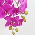 thumbnail image 4 of Tallos de orquídeas Flores artificiales Real Touch Látex Faux Phalaenopsis Ramas 9 Flores grandes 38 pulgadas brillar Juguete, 4 of 6