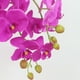 thumbnail image 4 of Tallos de orquídeas Flores artificiales Real Touch Látex Faux Phalaenopsis Ramas 9 Flores grandes 38 pulgadas brillar Juguete, 4 of 6