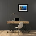 thumbnail image 3 of Bolokofsky, Ronald 14x11 Black Ornate Wood Framed with Double Matting Museum Art Print Titled - Evening In Manarola, 3 of 4