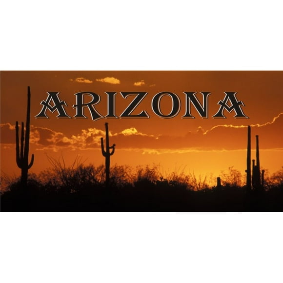 Arizona Desert Sunset Photo License Plate