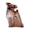thumbnail image 2 of Cojín de sofá con respaldo de peluche de animales para niños perro nativo, 2 of 9