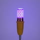 thumbnail image 1 of Desinfectante de luz UV E27 60 LED UV Germicida Lámpara de maíz Esterilizar Desinfección Luz Bombilla para el hogar Likrtyny Para estrenar, 1 of 6
