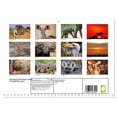 thumbnail image 2 of KRUGER NATIONAL PARK Africa's pearl (Monthly Wall Calendar 2026 16.5 x 23.4 (open)), CALVENDO 14 Month Calendar, 2 of 9