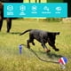 thumbnail image 3 of Perro cordón perro perro masticar juguete mascota juguete interactivo perro masticar juguete molar, 3 of 5