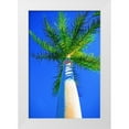 thumbnail image 1 of Bradshaw, Melinda 11x14 White Modern Wood Framed Museum Art Print Titled - Blue Sky Palm II, 1 of 4