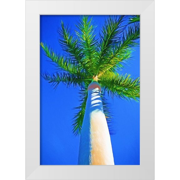 Bradshaw, Melinda 11x14 White Modern Wood Framed Museum Art Print Titled - Blue Sky Palm II