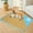 Blue, variant on Rattan Cooling Pet Mat for Summer | Breathable Non-Slip Portable Dog Cat Sleeping Pad | Foldable Lightweight Ice Cushion for Floor, Crate, Car Seat – 37x28cm – Green, Orange, Pink, Blue