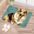 thumbnail image 5 of Corgi Dog Non-Slip Polyester Kitchen Mat Indoor Rug Area Rugs Machine Washable Indoor Mat, 5 of 6