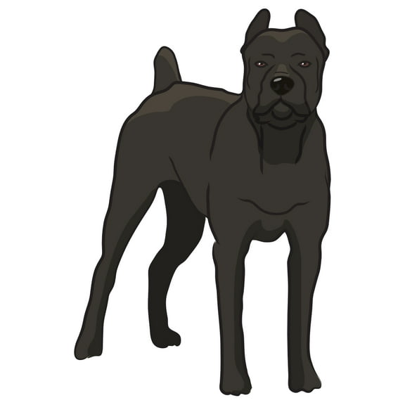Cane Corso Decal | Indoor/Outdoor | Dog Lover Super Cute Sticker for SUV Windows, Dorm Rooms, Bedroom, Offices | SignMission personalized gift | 18"