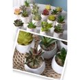 thumbnail image 3 of Matsuzay Bonsái de simulación suculenta Artificial, arreglo de flores falsas, manualidades, sala de estar, hogar, jardín, suministros de Type3 NO3, 3 of 6