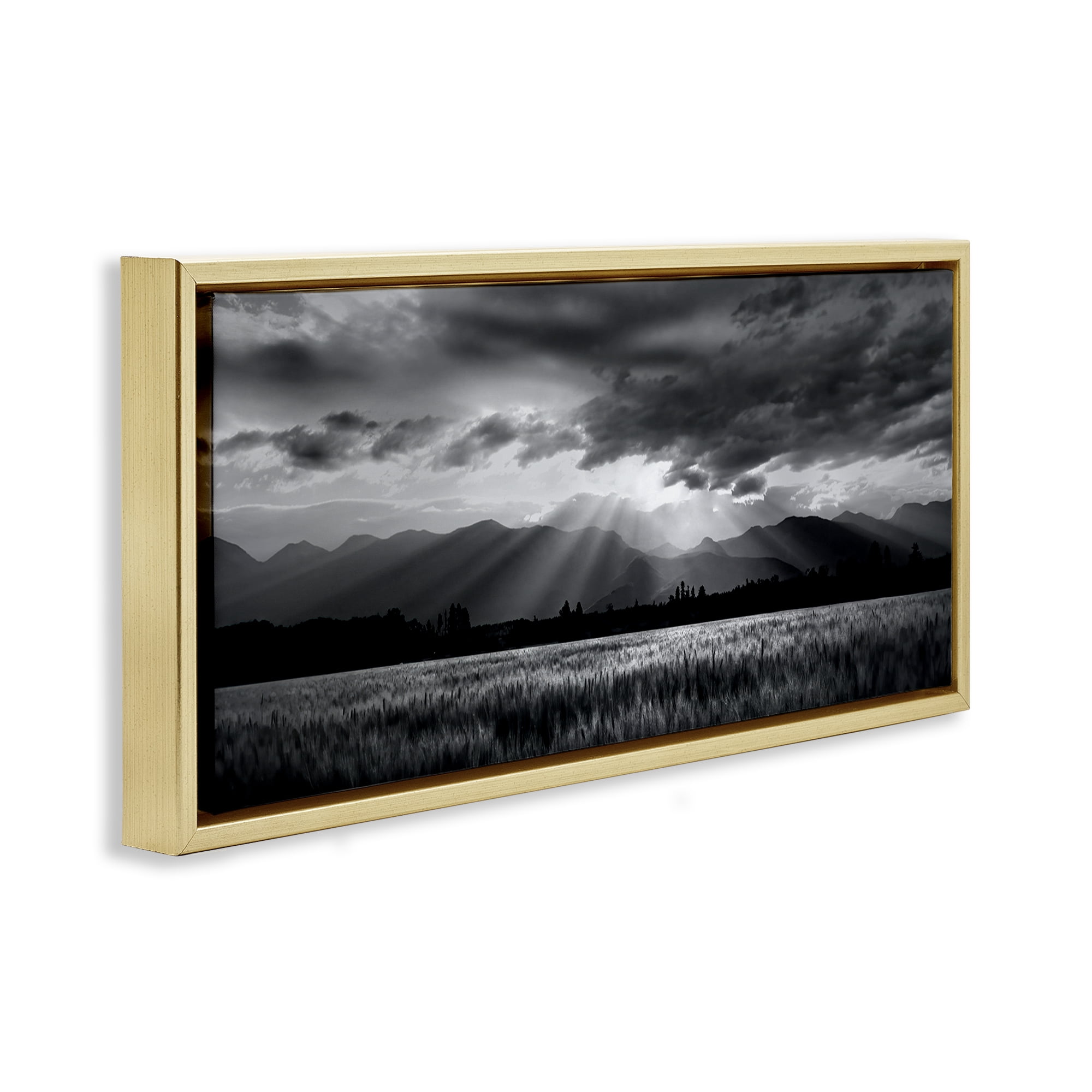 Stupell Industries Mountain Morning Sunbeams Gold Framed Floater Canvas Wall Art, design by Steve Toole