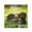 Green, variant on Blue Sky Monthly Stapled Calendar 12" x 12" Puppies (Jan 2026 - Dec 2026)