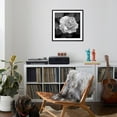 thumbnail image 4 of Art.com Sweet Rose II Photo by Nicole Katano, Black Frame Wall Art, 29" x 29", 4 of 5