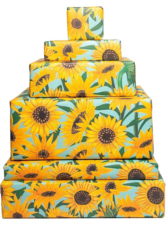 Gift Wrap & Supplies in Party Supplies