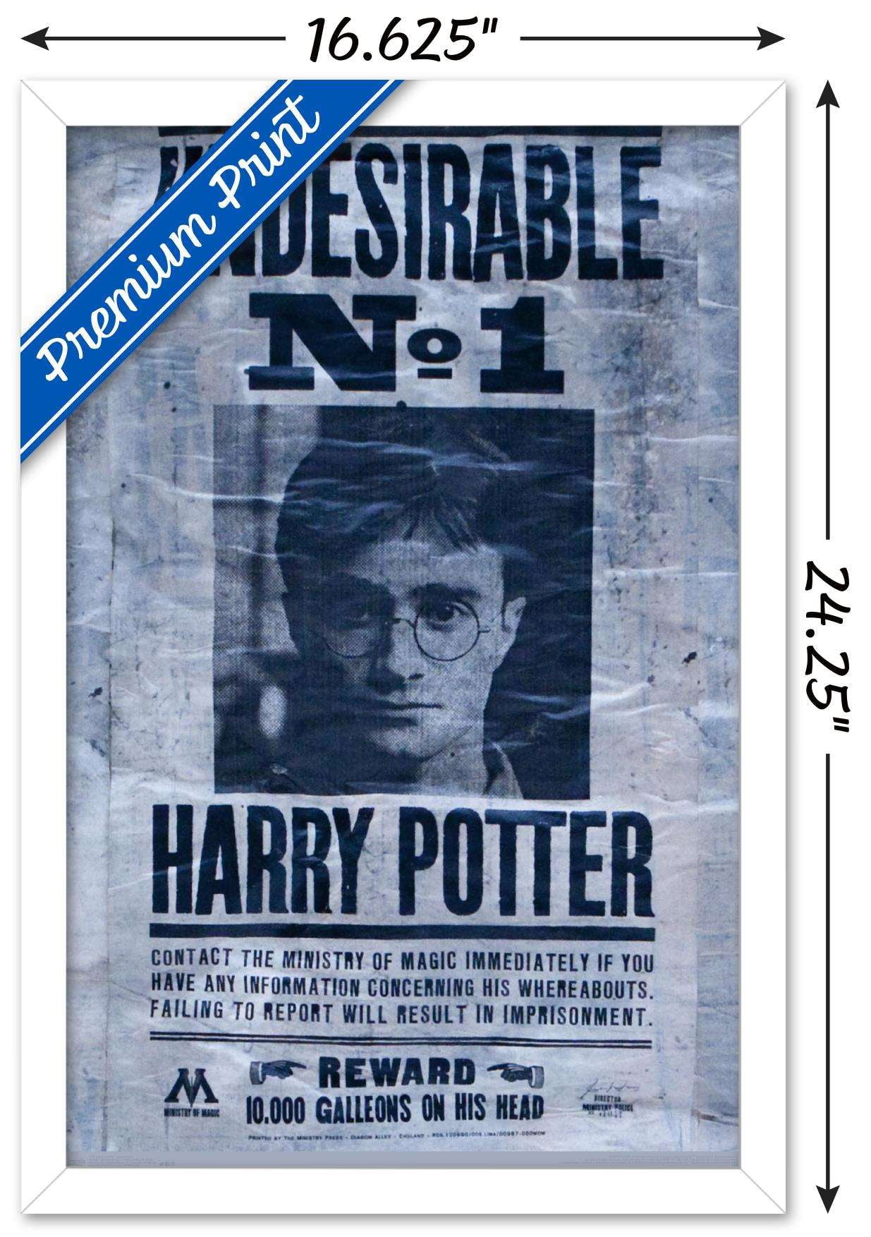 The Wizarding World: Harry Potter - Undesirable Wall Poster, 14.725" x 22.375", Framed