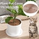 thumbnail image 1 of Rejilla Para Macetas, Cubierta Para Macetas, Protector De Flores Para Plantas, Diámetro De 7,5 Pulgadas, Protector De Rejilla Para Macetas De Plástico, Resistente Y Duradera, Cubierta Protectora Para Muyoka Hogar, 1 of 7