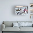 thumbnail image 2 of The Macneil Studio 'Donkeys' Canvas Art, 2 of 4