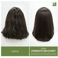 thumbnail image 3 of Biolage  Strength Recovery Shampoo 13.5 oz & Conditioner 9.5 oz, 3 of 6