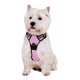 thumbnail image 2 of Pechera / Arnes Para Perros Que No Lastima. Talla Mediana, 2 of 8