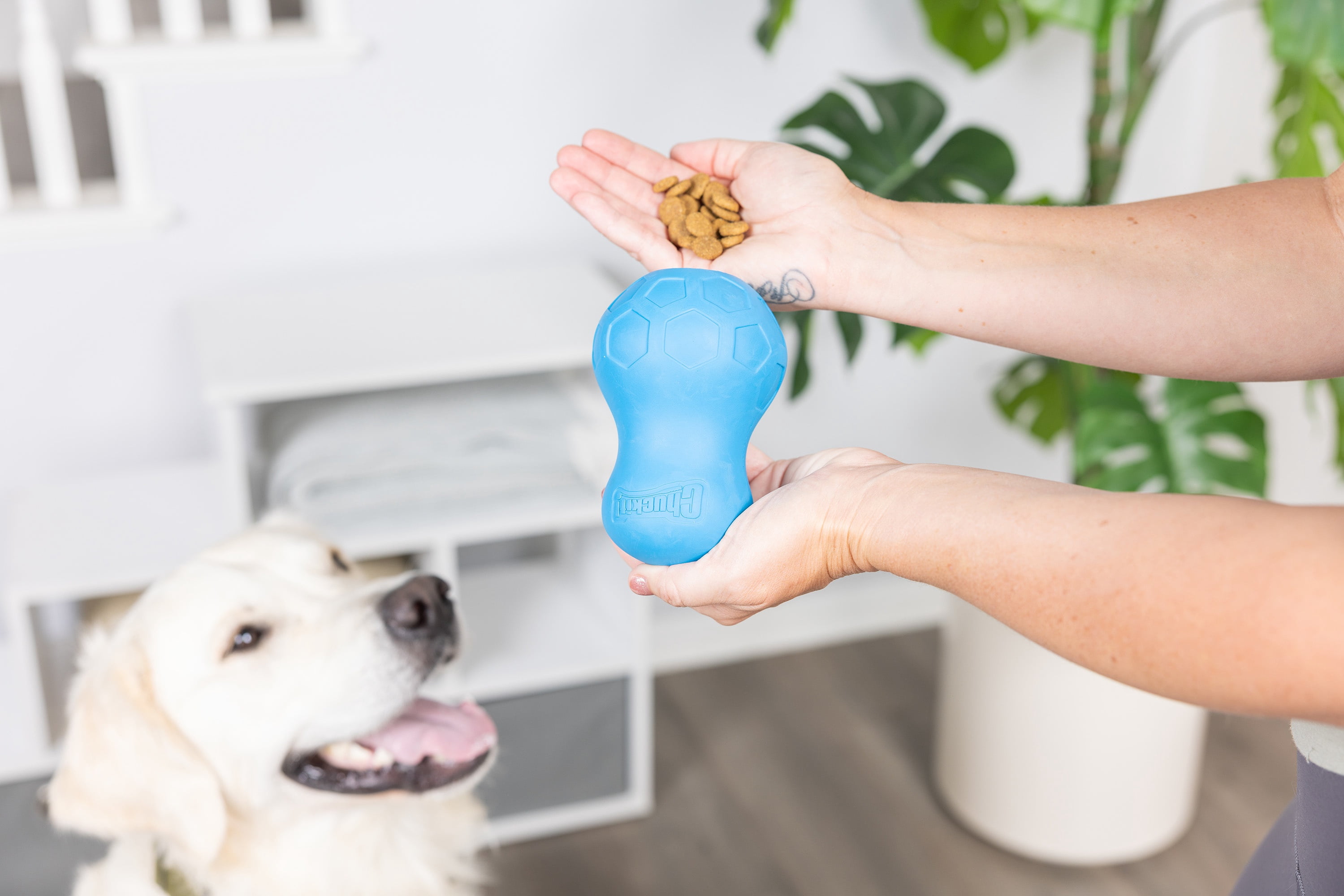 Chuckit! Tumble Teez Dog Treat Puzzle Toy, Large, Blue – Treat & Chew Puzzle Pod for Dogs 60–100 lb, Pack of 1