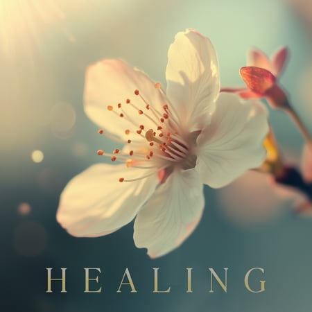 Various Artists - Healing (Various Artists) - Music & Performance - CD