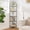 Black, variant on 5-Tier Corner Shelf Stand, Metal Corner Bookshelf, Tempered Glass Shelves, Bathroom Storage Rack Shelf, Plant Stand, Modern Style, Golden