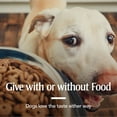 thumbnail image 6 of PETARMOR Sure Shot 2X Liquid Wormer for Dogs and Puppies, 6 of 10