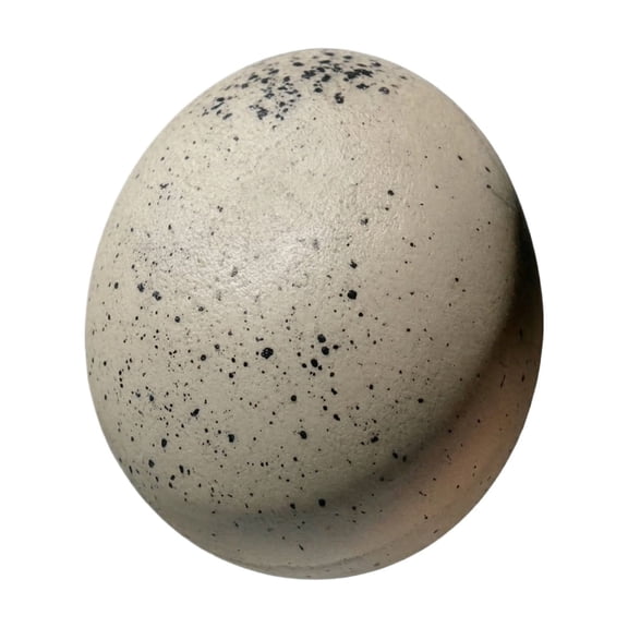 Giant Glitter Dumpling, Giant Dumpling Squishy, Mega Rainbow Dumplings, Large Stress Relief Sensory Ball for Adults-1