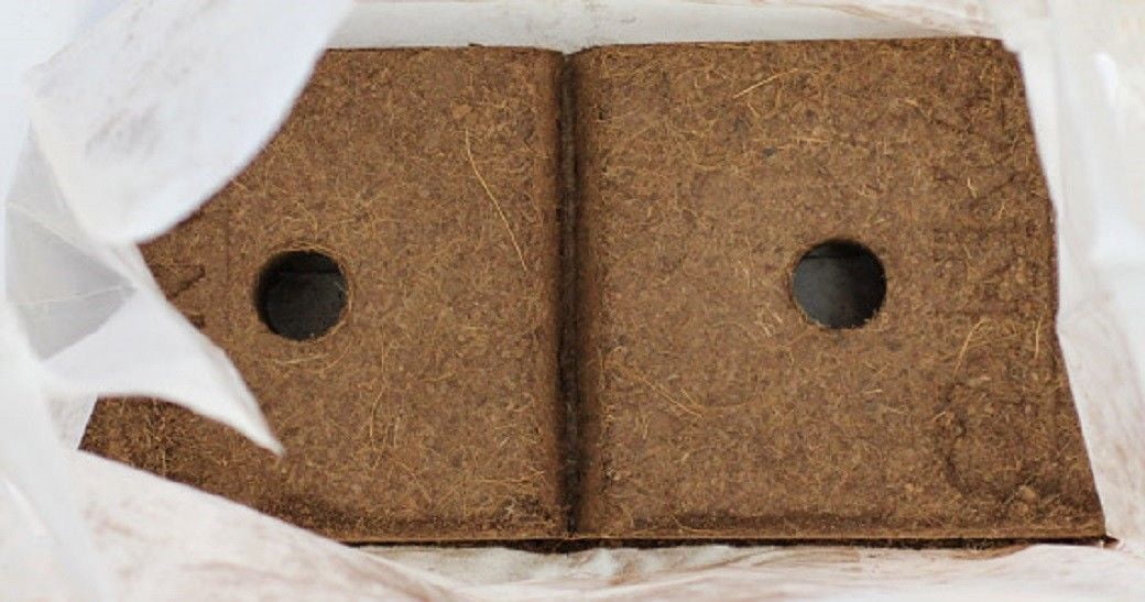 Canna Expandable Coco Brick Compressed Canna Coco Medium - 40L - 2 Pack