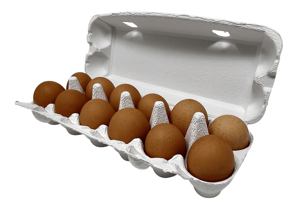 36 Premium Egg Cartons 12 Hole One Dozen White Small-Jumbo Flat Top