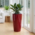 thumbnail image 2 of Algreen Modena 22" Self-Watering Planter, Round Taper, Gloss Red, 2 of 4