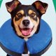 thumbnail image 2 of Collar Inflable Protector para Perros y Gatos - Collar de Recuperación Suave para Mascotas Que No Bloquea la Visión, Gris L, 2 of 6