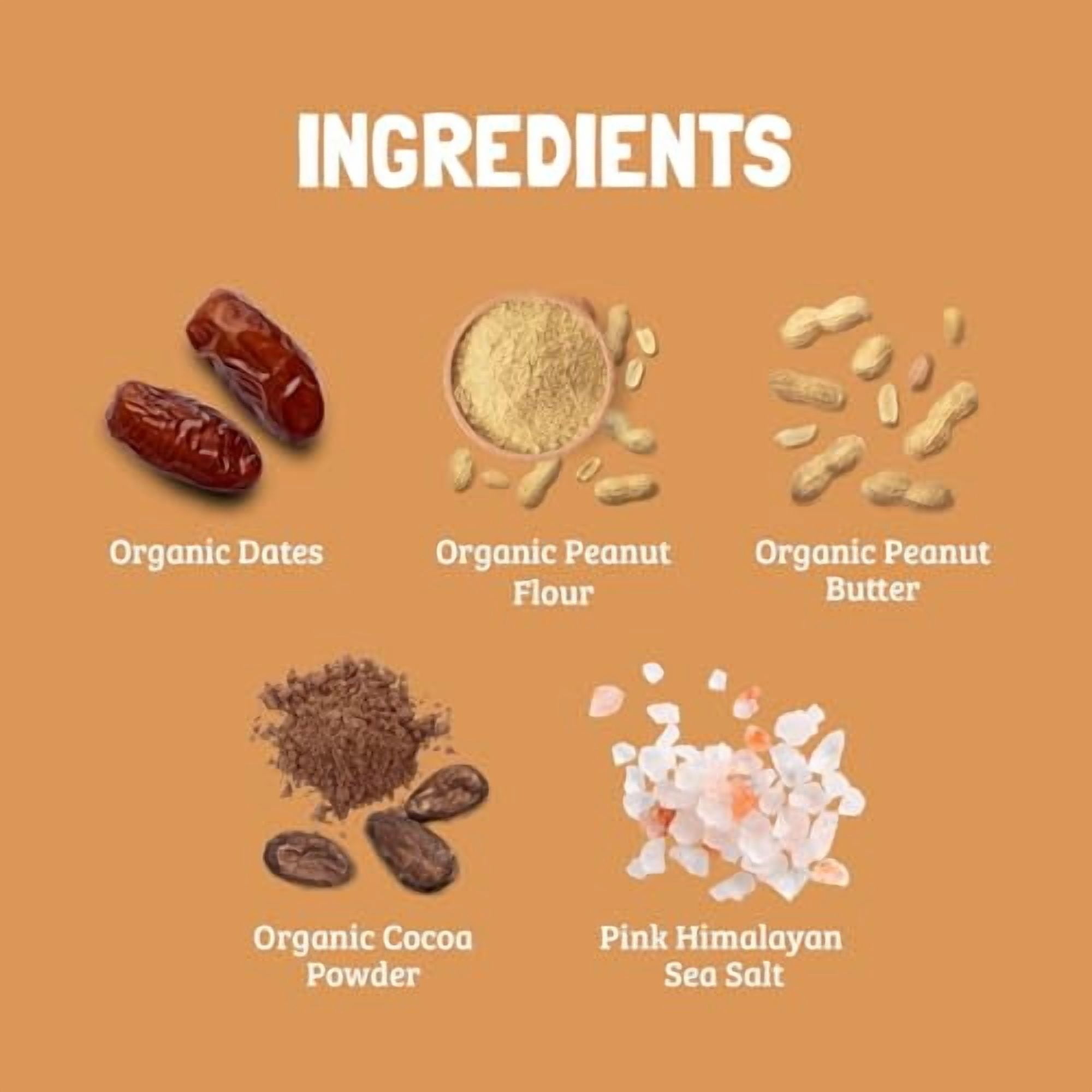 Skout Organic Chocolate Peanut Butter Plant-Based Protein Bars - 12 Pack
