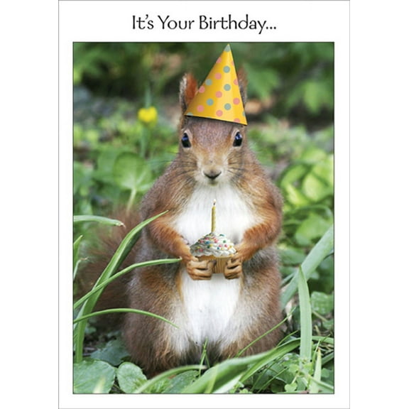 RSVP Squirrel in Party Hat Holding Cupcake Funny / Humorous Birthday Card