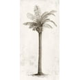 thumbnail image 2 of Ian C 11x18 White Modern Wood Framed Museum Art Print Titled - Vintage Palm Tree I, 2 of 4