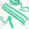 thumbnail image 4 of Green Apple Sour Belts, 1 Pound Bulk Bag, The Hampton Popcorn & Candy Company, 4 of 5