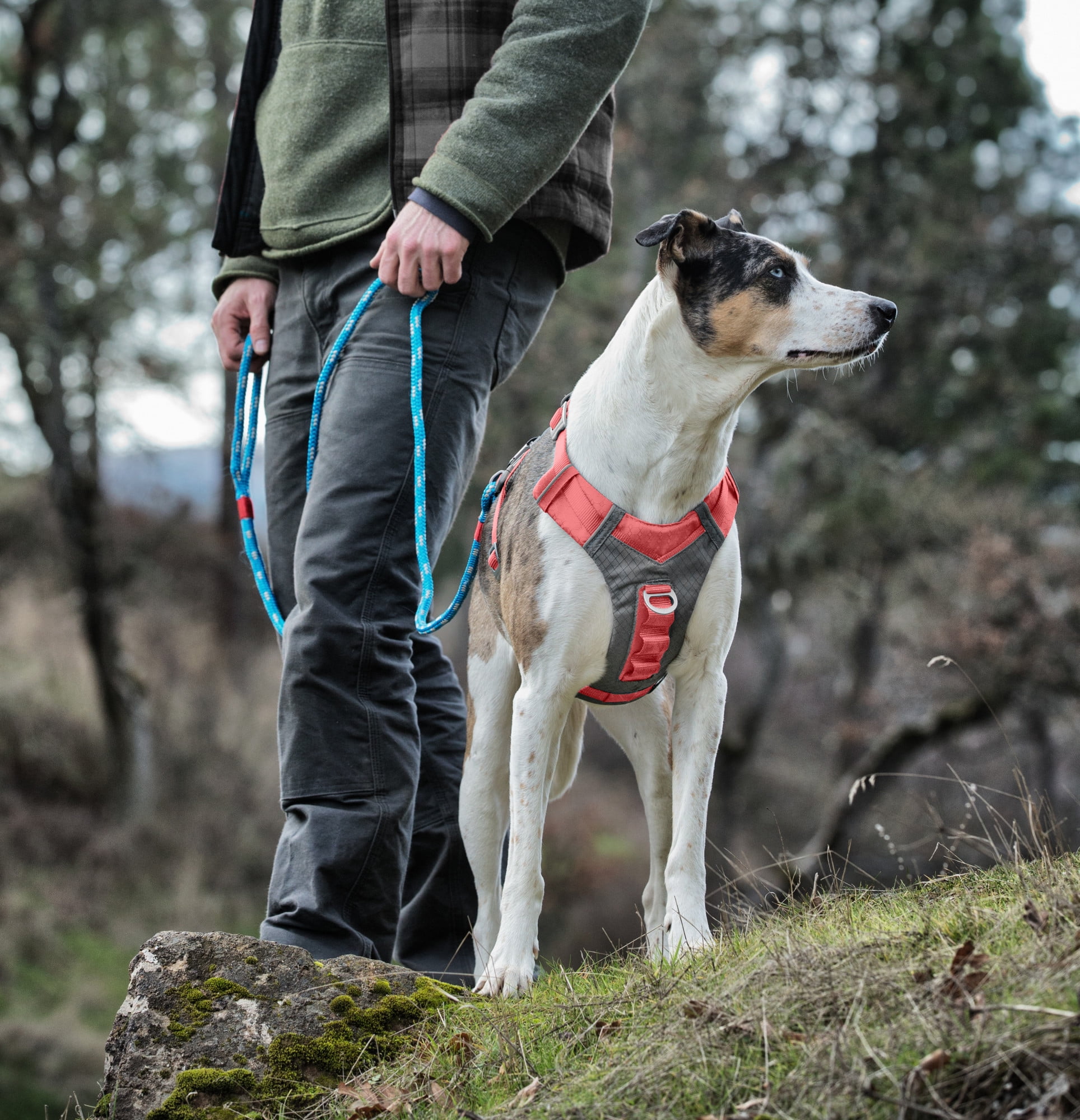 Kurgo Journey Air Dog Harness, Reflective, Padded, No Pull Front Clip and Control Handle, Coral, S