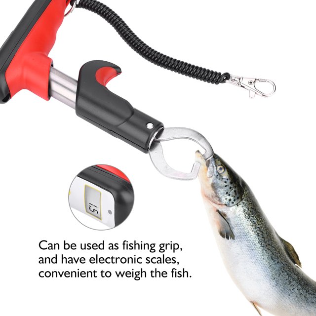 Échelle de Pêche, Échelle Électronique de Poisson Ressort Électrique en Acier Inoxydable Portable avec Sac pour Pêche en Extérieur
