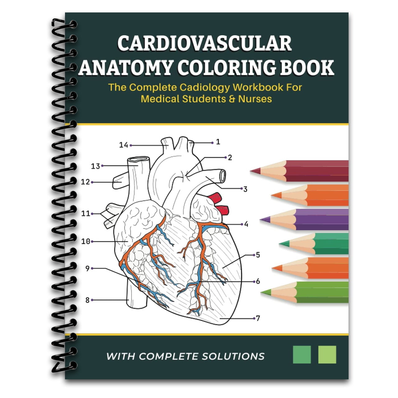 Cardiovascular Anatomy Coloring Book - The Complete Cardiology Workbook For Medical Students & Nurses: Learn Anatomy of the Human Heart Through ... The Perfect Gift for Cardiologist & (Spiral bound)