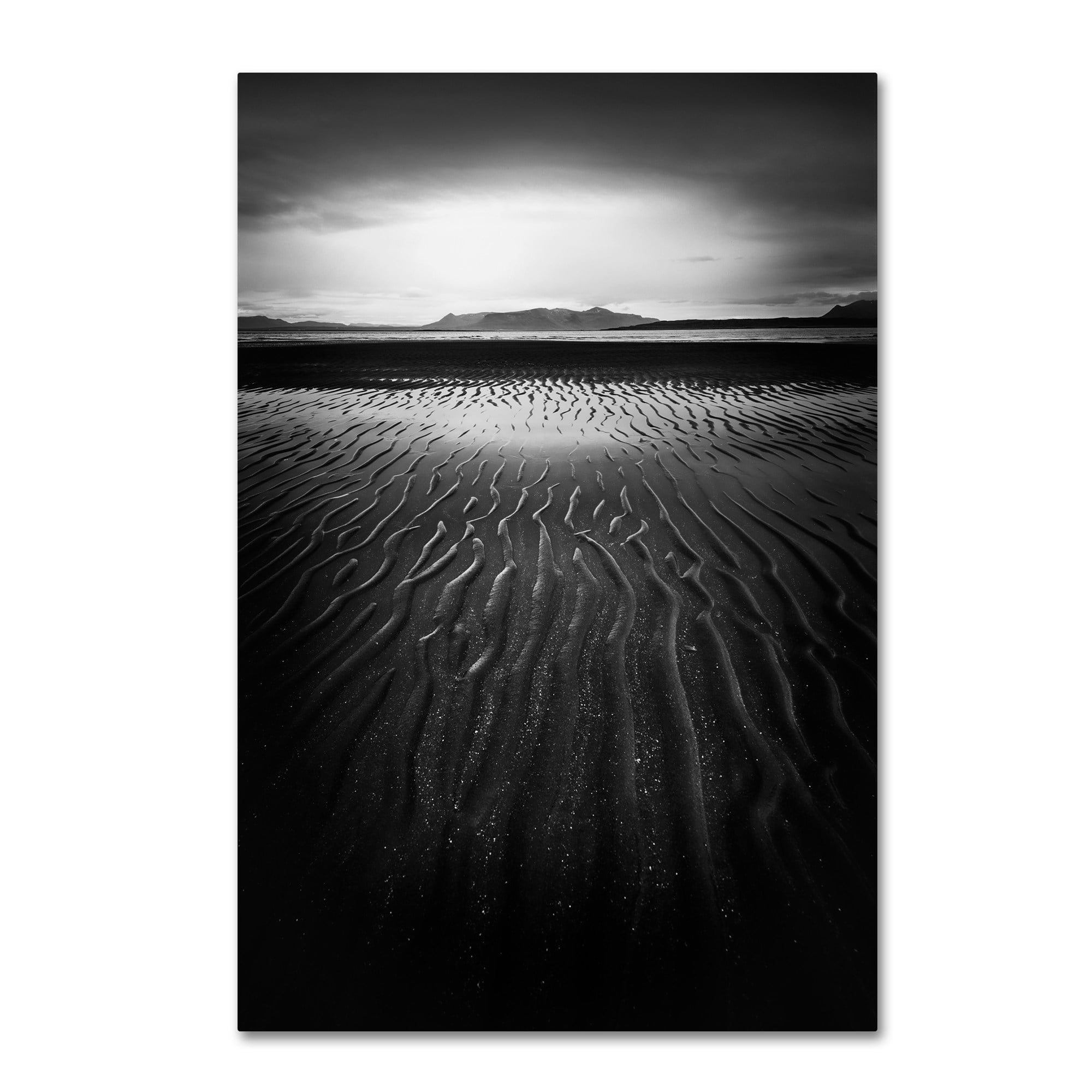 Trademark Fine Art 'Black Magic' Canvas Art by Philippe Sainte-Laudy